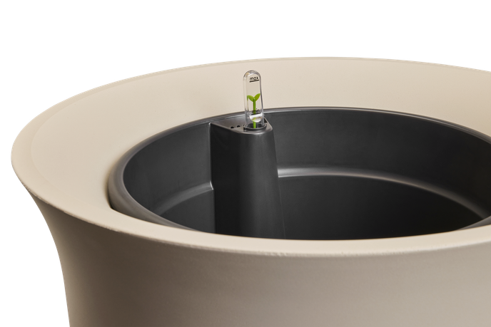 june tulip 40cm greige